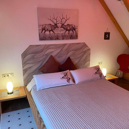 Gipfel Lounge Appartement Goslar Buitenkant foto