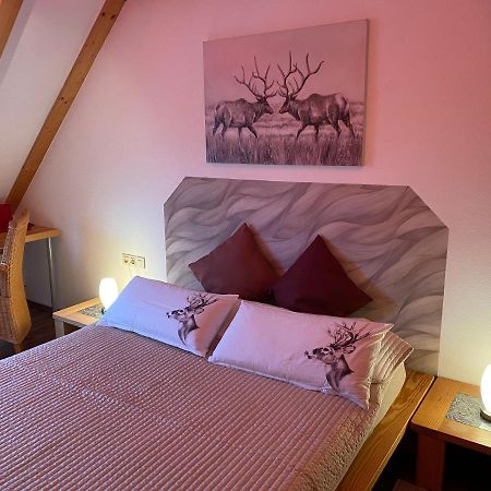 Gipfel Lounge Appartement Goslar Buitenkant foto